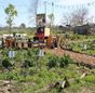 Allensworth Students visit New Community Garden!